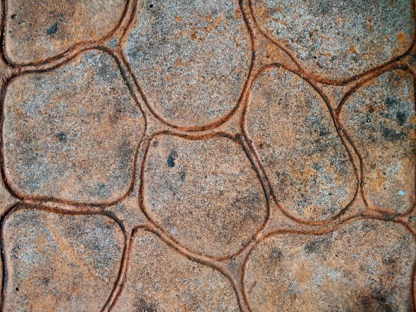 Concrete Stamping in Evans