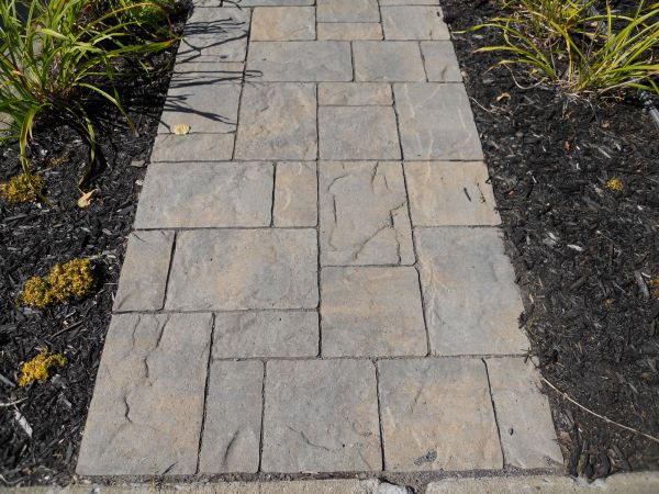 Stamped Concrete Staining in Evans