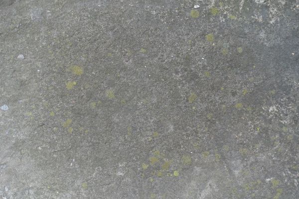 Slab Staining Service in Evans